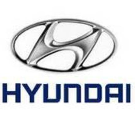 Коврик в багажник HYUNDAI