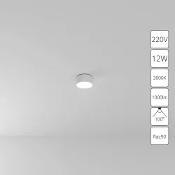 Потолочный светильник Arte Lamp FADO