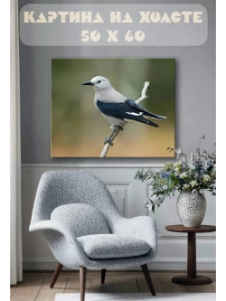 Картина на стену 40 X 50 Птицы