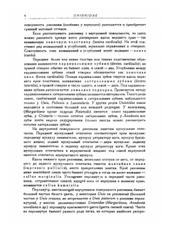 Фауна СССР. Моллюски. Том IV. Выпуск 1. Сем. Unionidae | В. И. Жадин