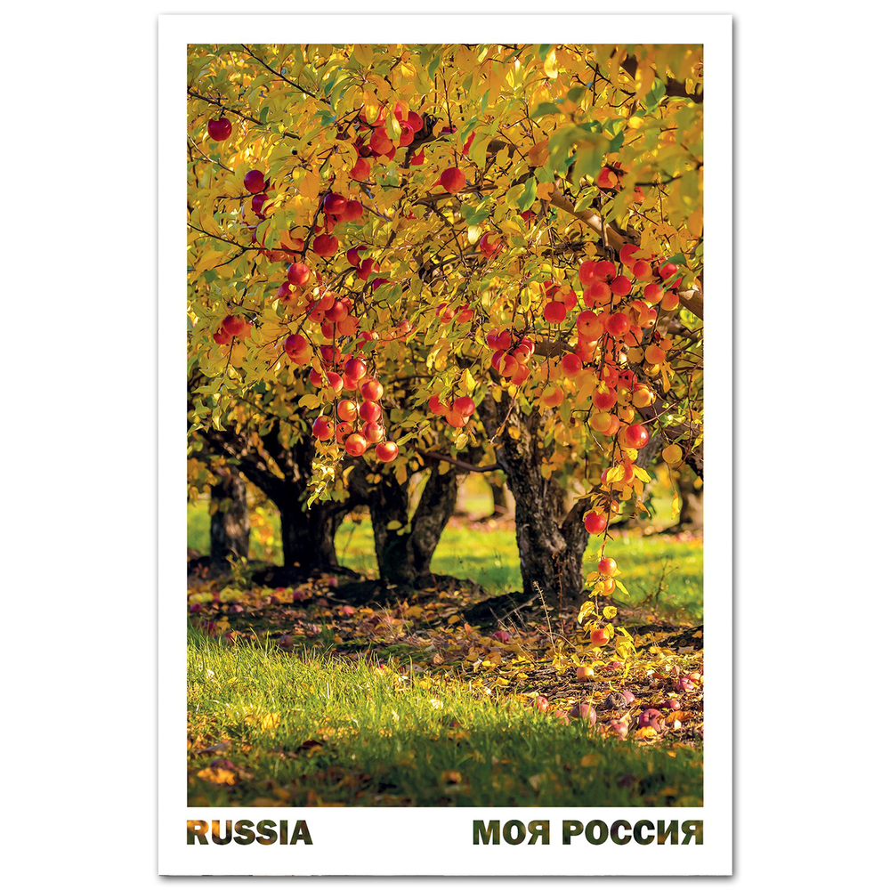 Золотые сады, Липецкая область