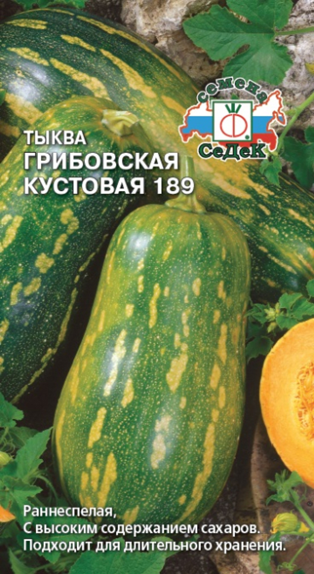 тыква Грибовская Кустовая 189