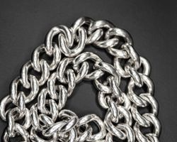 Панцирь пустотелый широкий