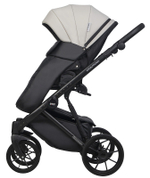 Детская коляска Riko Basic Montana Ecco 3 в 1 31 Light Silver-Black