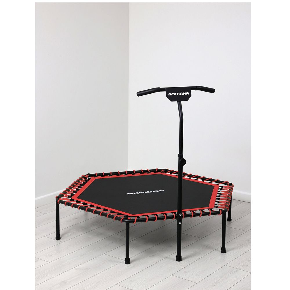 Батут для фитнеса с ручкой, без счетчика Romana 12.11.00 (розовый)
