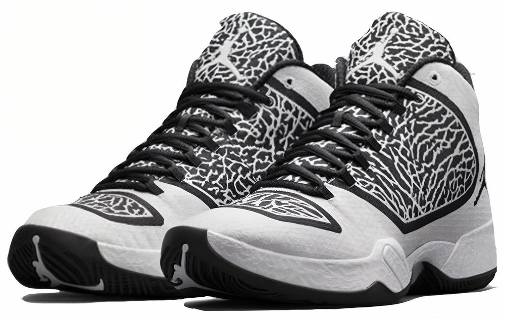 Кроссовки Jordan Air Jordan 29 Black White