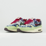 кроссовки Nike Air Max 1 x Concepts Mellow Wmns