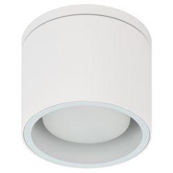 Светильник настенно-потолочный спот ЭРА WL40 WH GX53, белый, IP54