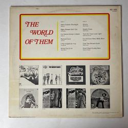 Винтажная виниловая пластинка LP Them, The World Of Them (Germany 1974)