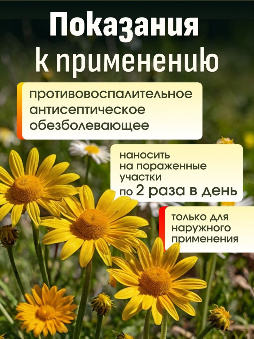 ГОМЕОПАТИЧЕСКИЙ БАЛЬЗАМ АРНИКА 25 г