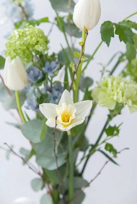 Трепет / ○ Ясность