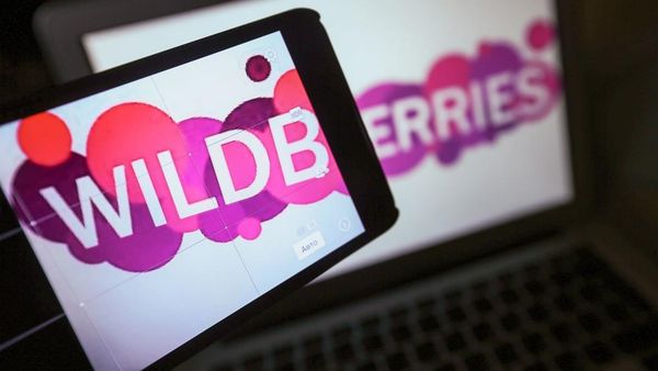 Wildberries: 50% российских предпринимателей прогнозируют рост своих продаж в 1,5—3 раза