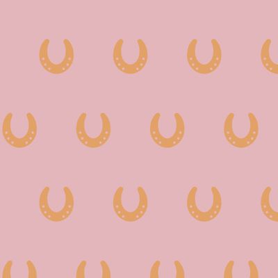 Подкова на удачу