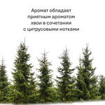 Хвойный лес, кубики восковые для ароматизации, 10 штук