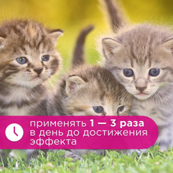 Спрей Brizberry ( Apicenna ) Приучение к туалету для кошек, 250 мл