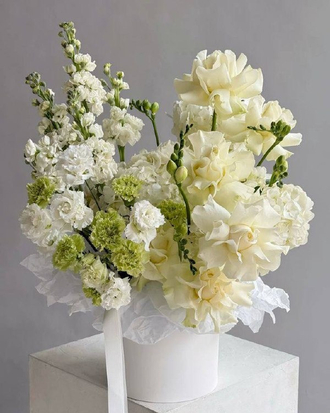 Композиции