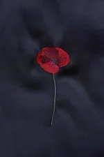 Шоппер Гербарий Мак черный