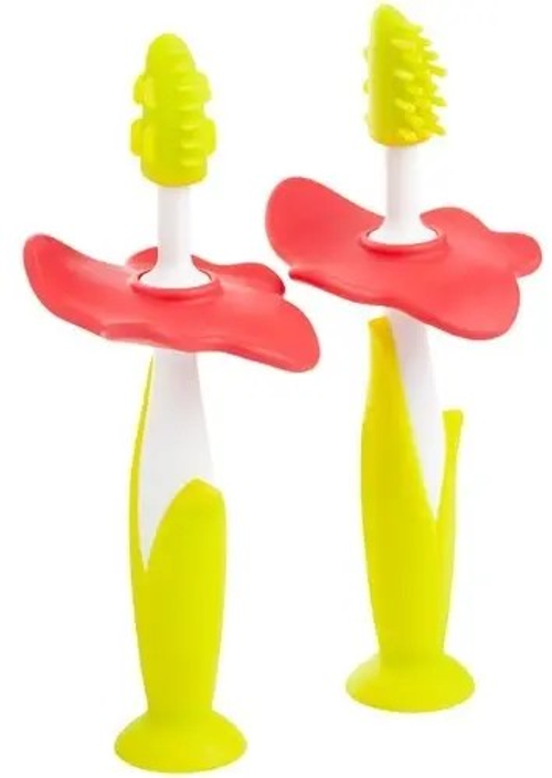 Набор зубных щёток-массажёров ROXY-KIDS Flower, 2 шт (4 мес.+)
