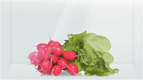 Холодильник Bosch KGV 39VW23R