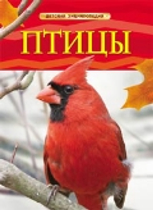 Детская Энциклопедия Птицы (для младшего школьного возраста), (Росмэн/Росмэн-Пресс, 2018)