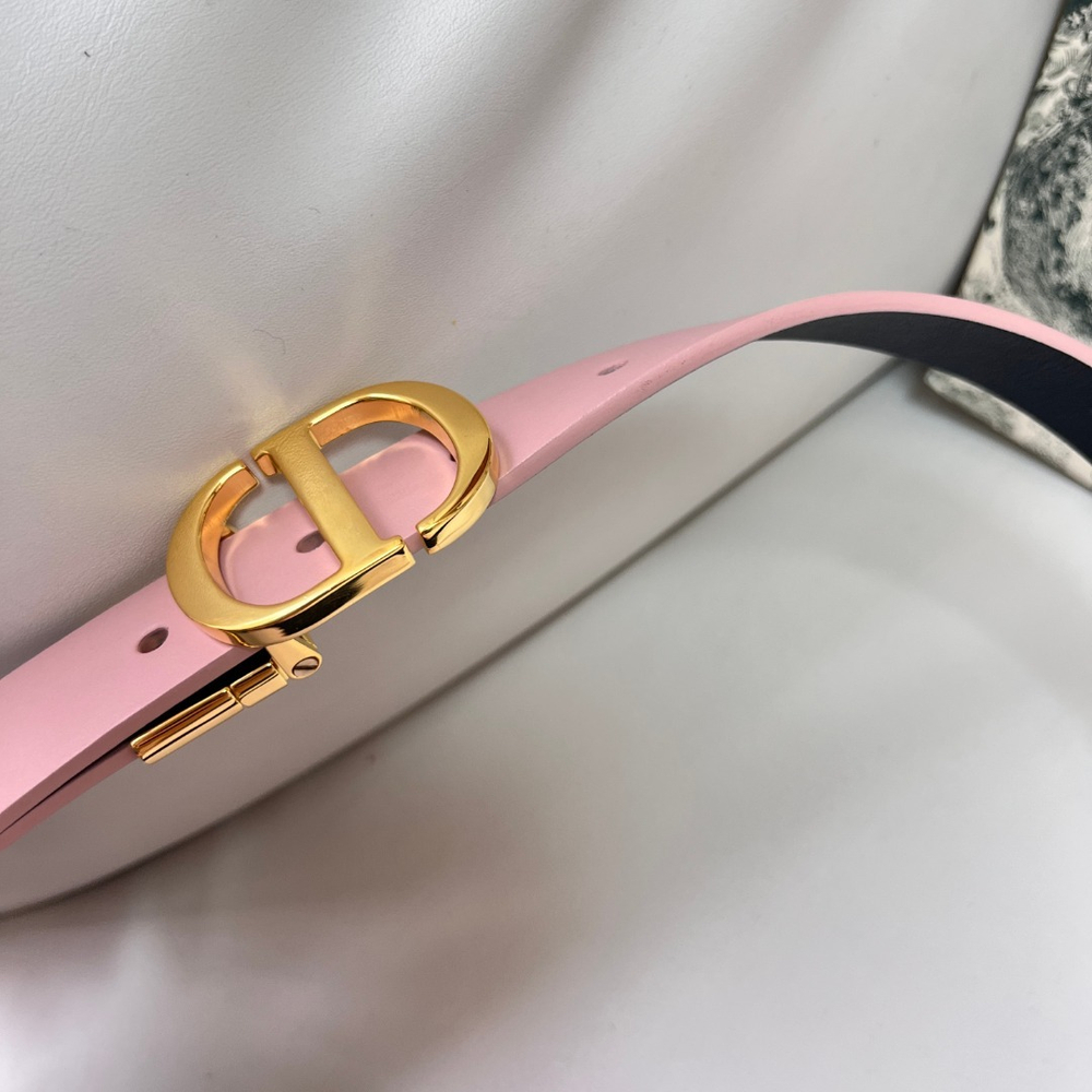 Christian Dior Reversible Belt