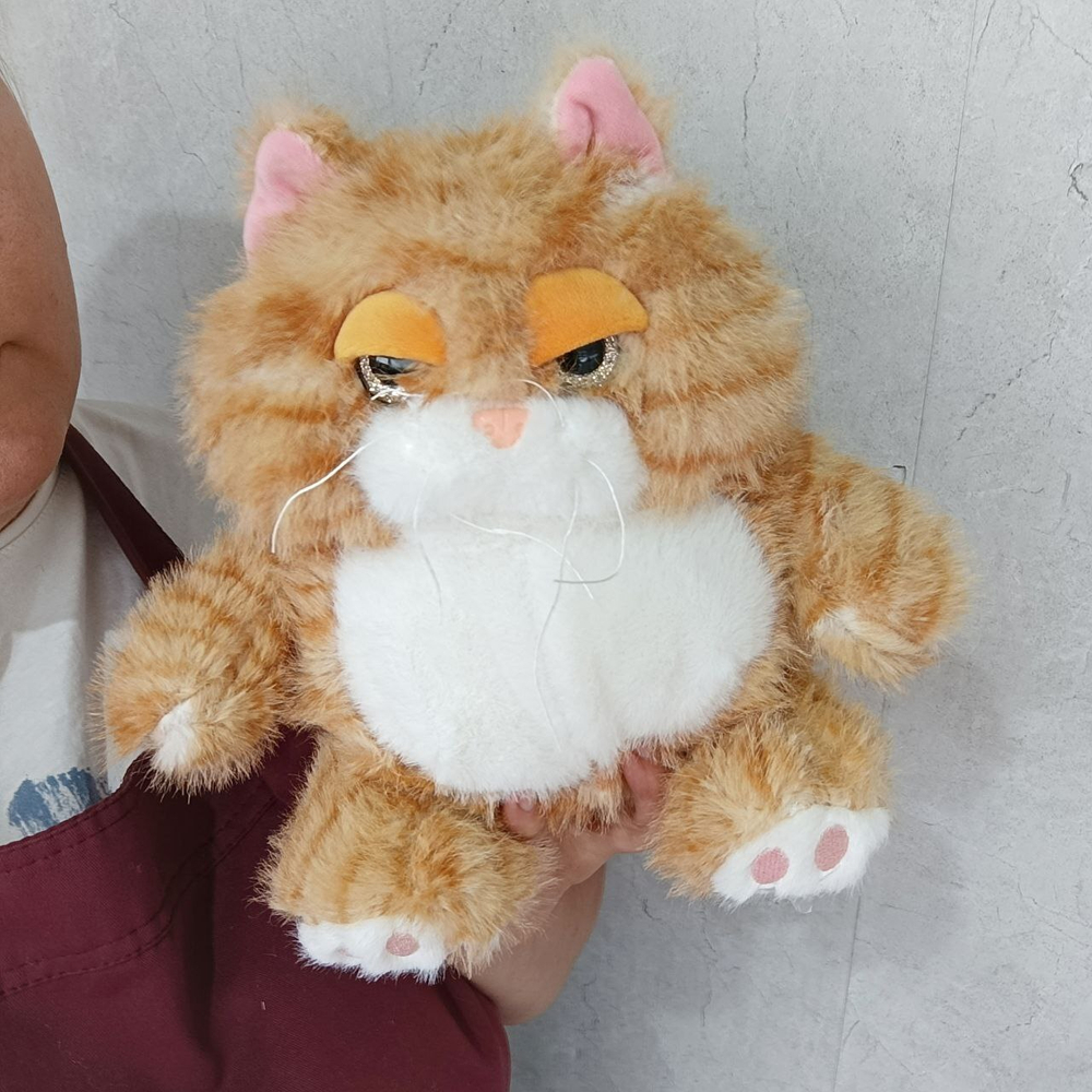 Кот злюка