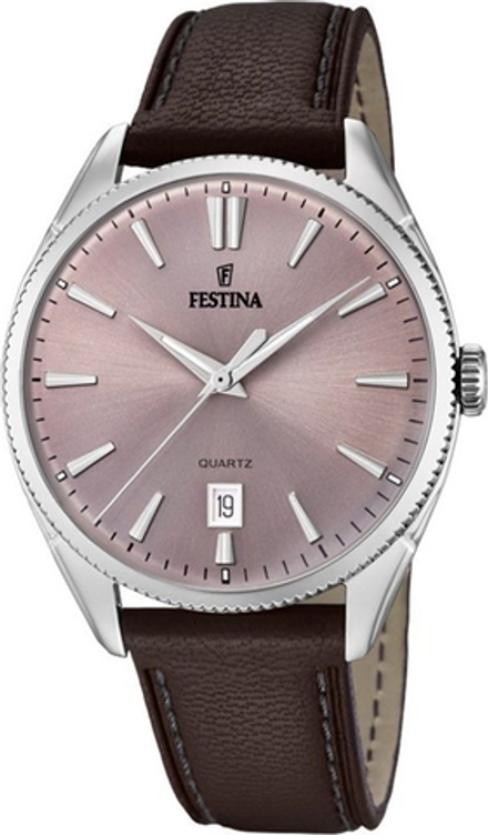 Мужские наручные часы Festina F16977/4