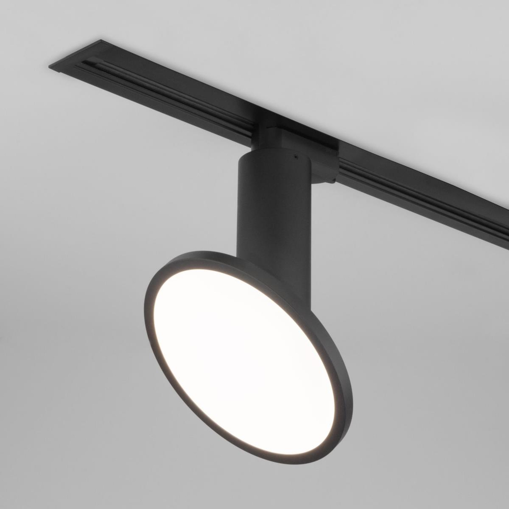Трековый светодиодный светильник Elektrostandard Brain LTB50 12W 4200K черный a047378