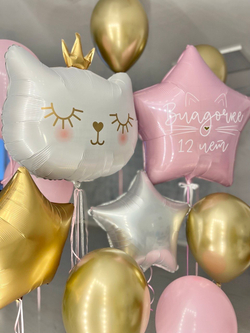 Набор воздушных шаров Кошка №2255