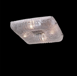 Накладной светильник Lightstar Zucche 820440