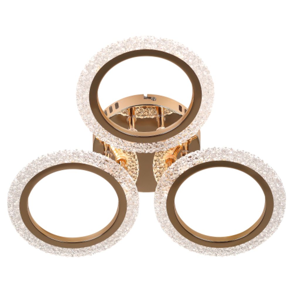 Светильник потолочный светодиодный Rivoli Evlalia 6178-703 LED 42Вт 3000-6000К с пультом | Rivoli