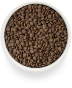 Grandorf Fresh Cat Potato корм сухой беззерновой для стерилизованных кошек ягнёнок,батат
