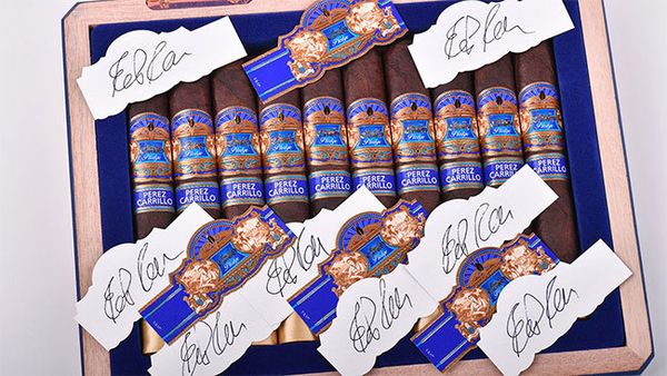 Новая линия Pledge в год основания бренда