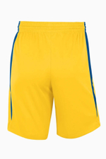Шорты Nike Team Basketball