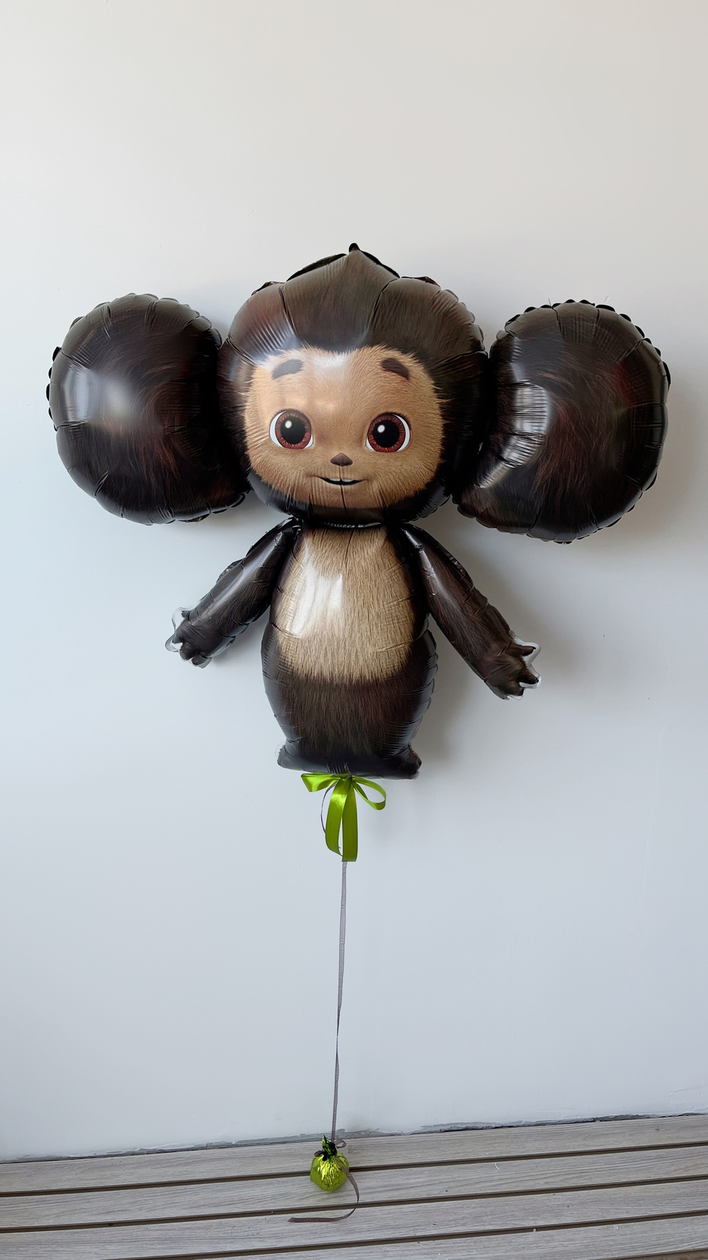 Воздушные шары №6078