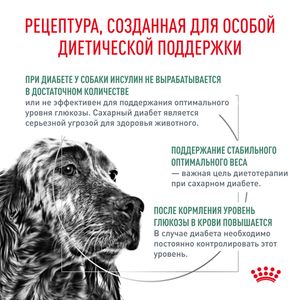 Сухой корм Royal Canin Diabetic для взрослых собак при сахарном диабете