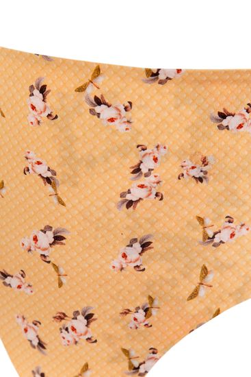 Плавки 7136 Alicia Zola