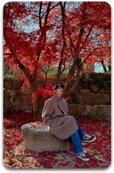 Карта / BTS #1529