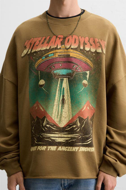 ZARA ТОЛСТОВКА С КОНТРАСТНЫМ ПРИНТОМ, ТЕМНО-КОРИЧНЕВЫЙ