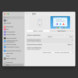 Комплект клавиатура Apple Keyboard A1314 и мышь Apple Magic Mouse A1296 (отличное состояние, упаковка)