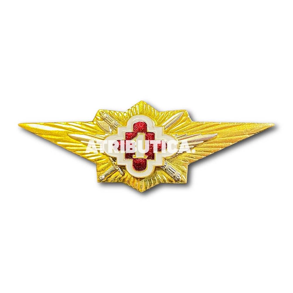 Знак Нагрудный Классность ФСИН 1 Класс | ATRIBUTICASTORE.RU