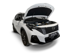 Упоры капота для GAC GS3 2023-, 2 шт., UGAGS3011