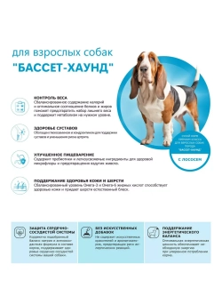 Сухой корм для собак породы Бассет-хаунд, с лососем, 2,5 кг