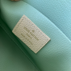 Louis Vuitton Cosmetic Pouch PM