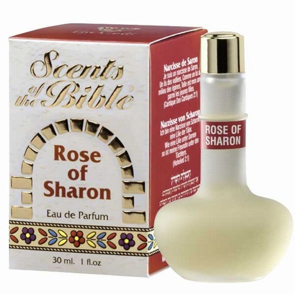 Ein Gedi Rose of Sharon