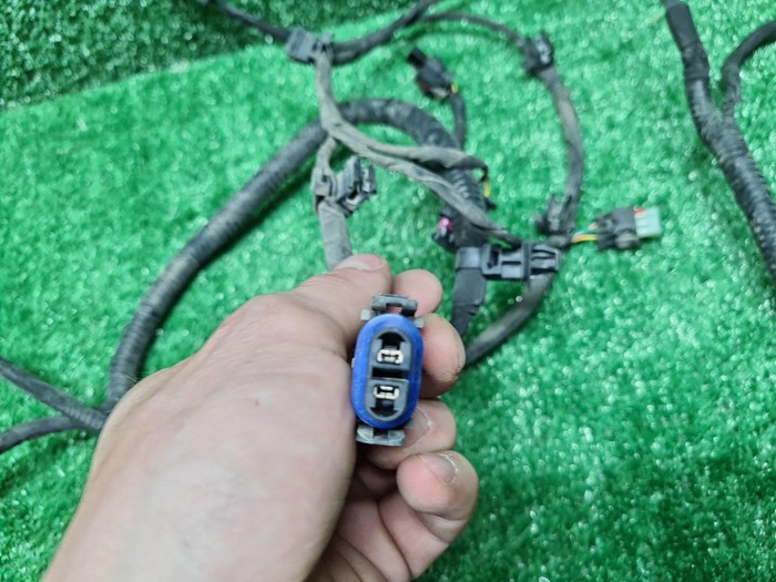 Проводка переднего бампера Haval Dargo (2022-н.в.)