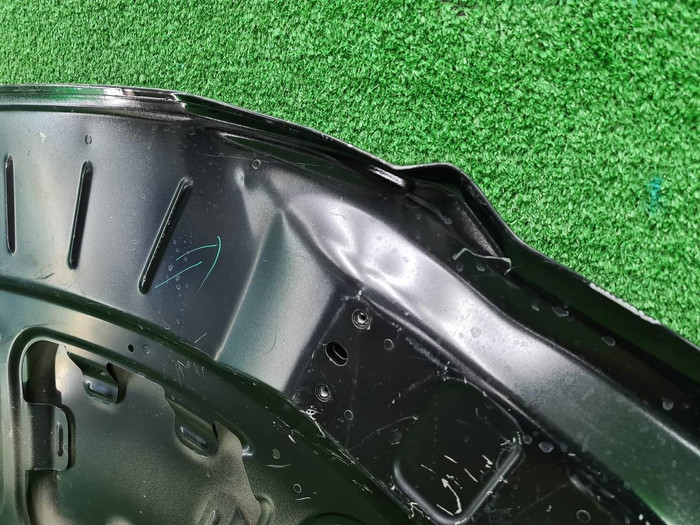 Капот Zeekr 009 (2022-н.в.)