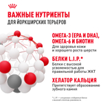 Royal Canin Yorkshire Terrier Adult Корм сухой для взрослых собак породы Йоркширский терьер от 10 месяцев 3 кг