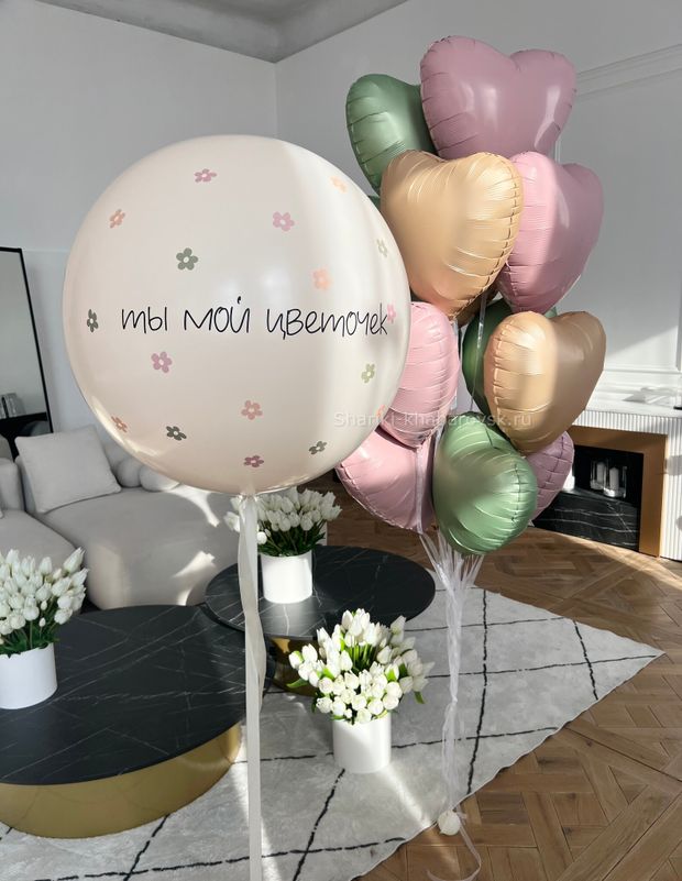 Воздушные шары №6297