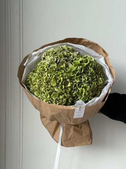 Букет из гортензии в зеленом оттенке 3 шт